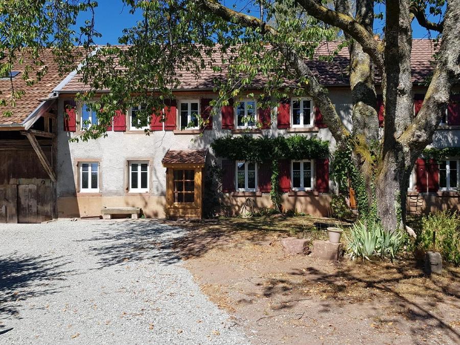Le Jardin Des Gouttes Bed & Breakfast Rougegoutte Exterior photo